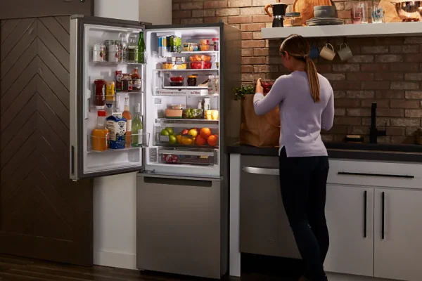 Bottom/Top Freezer Refrigerator