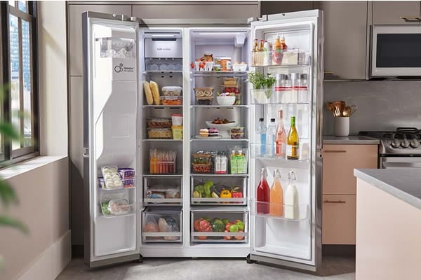 Side-by-Side Refrigerator Repair